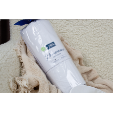 Простирадло "НАТХНЕННЯ" з резинкою Optical White, 120x200