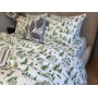 Смерека, Turkish flannel (Сімейний)