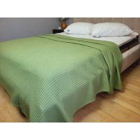 Піке Сота, Пряний зелений (Нав. 50*70см-2шт)