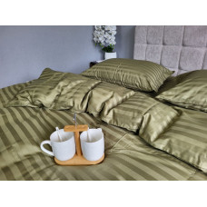 Stripe PREMIUM, KHAKI 2/2см (Двосп. на рез.)