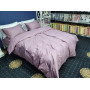 Stripe LUX LIGHT PLUM 1/1см (Євро)