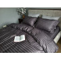 Stripe PREMIUM, ROYAL GRAY 2/2см (Євро)