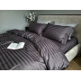 Stripe PREMIUM, ROYAL GRAY 2/2см (Євро)