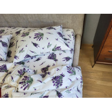 Лавандин, Turkish flannel (Євро на резин.)