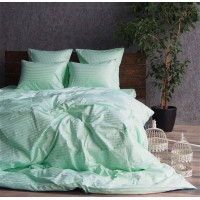 Stripe LUX LIGHT MINT 1/1см (Євро)