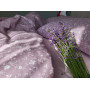 Provence orchid, cotton (Євро на рез.)