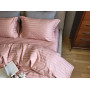 Stripe PREMIUM, POWDER PINK 2/2см (Євро)