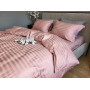 Stripe PREMIUM, POWDER PINK 2/2см (Євро)