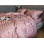 Stripe PREMIUM, POWDER PINK 2/2см (Євро)