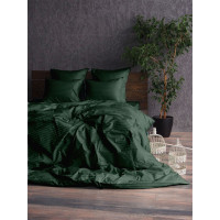 Stripe LUX GREEN 1/1см (Полуторний)