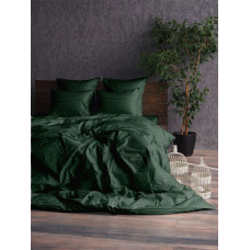 Stripe LUX GREEN 1/1см (Сімейний)