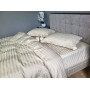 Stripe PREMIUM, BEIGE 2/2см (Євро)