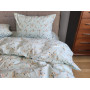 Вікторія м’ята, Turkish flannel (Полут. на рез.)
