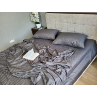 Stripe LUX GRAY SHADOW 1/1см (Євро)