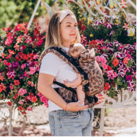 Ерго рюкзак від народження Adapt шоколадний Feathers (0-18 міс)