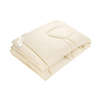 Ковдра DOTINEM CASSIA GRANDIS мікрофібра зимова 100х140 дитяча (216886)