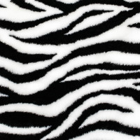 Дитячий маскарадний жилет Попелюшка зебра 35см (ZL22712)