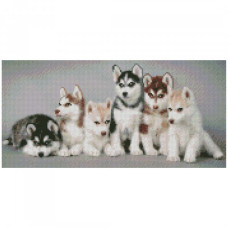 Картина за номерами з алмазною мозаїкою Стратег Маленькі хаскі 50х25см (BA-004)