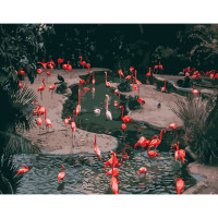 Картина-розмальовка за номерами Strateg Фламінго на водопої 40х50 (GS230)