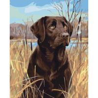Картина для малювання за номерами Стратег Лабрадор в осоці 40х50 (SY6468)