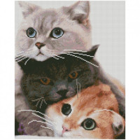 Картина за номерами з алмазною мозаїкою Стратег Три кольори ніжності 40х50см (FA0012)