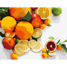 Картина для малювання за номерами Стратег Фруктовий мотив 40х50см (VA-2679)