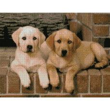 Картина за номерами з алмазною мозаїкою Стратег Цуценята породи Лабрадор 40х50см (FA40157)