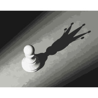 Картина-розмальовка Strateg за номерами Тінь амбіцій 40х50 (DY040)