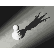 Картина-розмальовка Strateg за номерами Тінь амбіцій 40х50 (DY040)