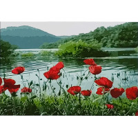 Картина розмальовка Strateg за номерами Маки біля води 30х40 (SS-6531)