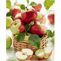 Картина для малювання за номерами Стратег Соковиті яблука 40х50см (VA-0364)