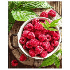 Картина для малювання за номерами Стратег Малина 40х50см (VA-1117)