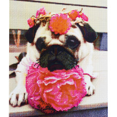 Картина за номерами з алмазною мозаїкою Стратег Мопс з квітами 50х40см (FA40811)