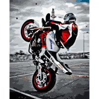 Картина для малювання за номерами Стратег Крутий байкер 40x50 (VA-3588)