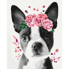 Картина за номерами Brushme Бостон тер'єр у віночку 40х50 (BS26782)