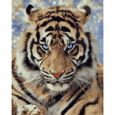 Картина для малювання за номерами Стратег Погляд хижака 40х50 (VA-3431)