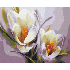 Картина за номерами Brushme Крокуси 40х50 (BS5828)
