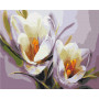 Картина за номерами Brushme Крокуси 40х50 (BS5828)