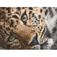 Картина для малювання за номерами Art Craft Леопард 40х50см (11635-AC)