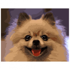 Картина для малювання за номерами Стратег Портрет шпіца 40х50см (VA-1672)