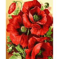 Картина для малювання за номерами Стратег Маки 40х50см (VA-0659)