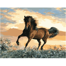 Картина для малювання за номерами Стратег Дикий мустанг 40х50см (VA-0582)