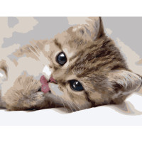 Картина для малювання за номерами Стратег Маленький котик 40х50см (VA-0522)