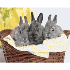 Картина для малювання за номерами Стратег Пухнастики 40х50 (SY6314)