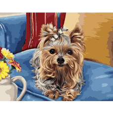 Картина для малювання за номерами Стратег Йоркширський тер'єр 40х50см (VA -1252)