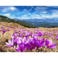 Картина для малювання за номерами Brushme Долина крокусів 40х50см (GX27318)
