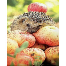 Діамантова мозаїка Strateg за номерами Їжачок з яблуками 30х40 (HEG86024)