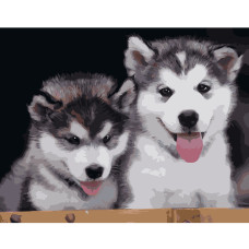 Картина для малювання за номерами Стратег Пухнасті цуценята хаскі 40х50см (VA-1155)