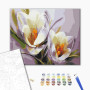 Картина за номерами Brushme Крокуси 40х50 (BS5828)