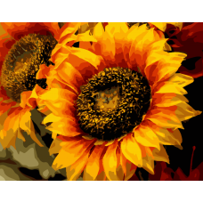 Картина для малювання за номерами Art Craft Шпигун сонця 40х50см (13106-AC)